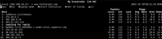 Screenshot showing MTR output on a Linux system